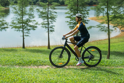 DYU C4 Ebike DYU C4 Ebike