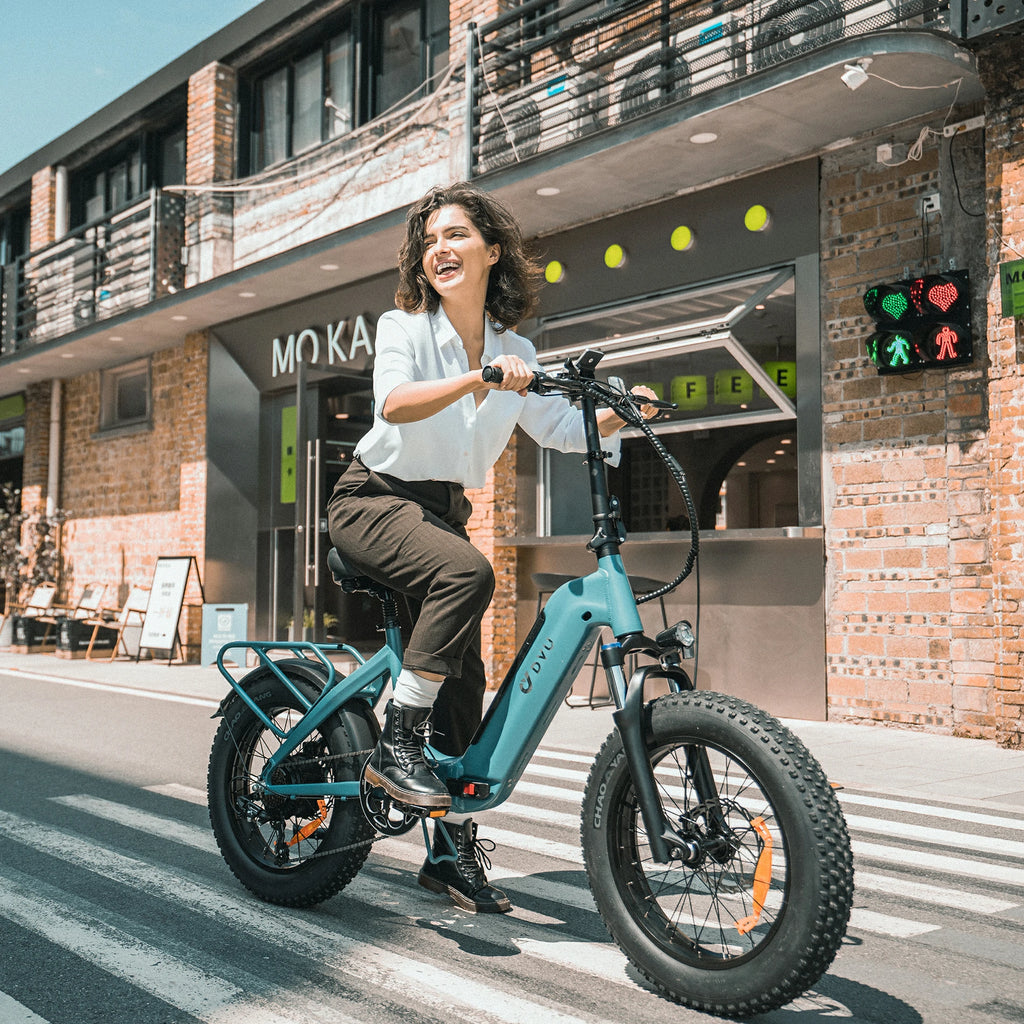DYU FF500 20 Inch Fat Tire Elcykel
