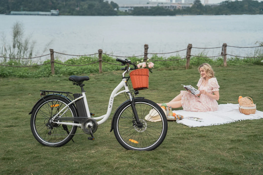DYU C6 basket e-bike parked by the water for EU shopping trips