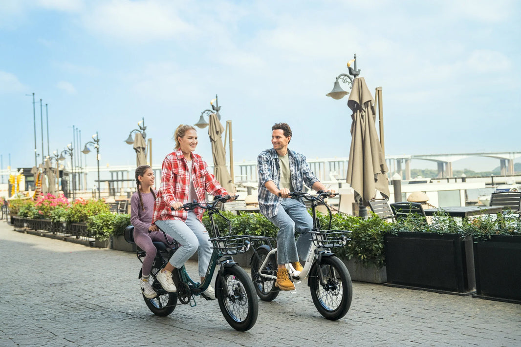 DYU C9 folding e-bike family errand guide Europe riverside ride