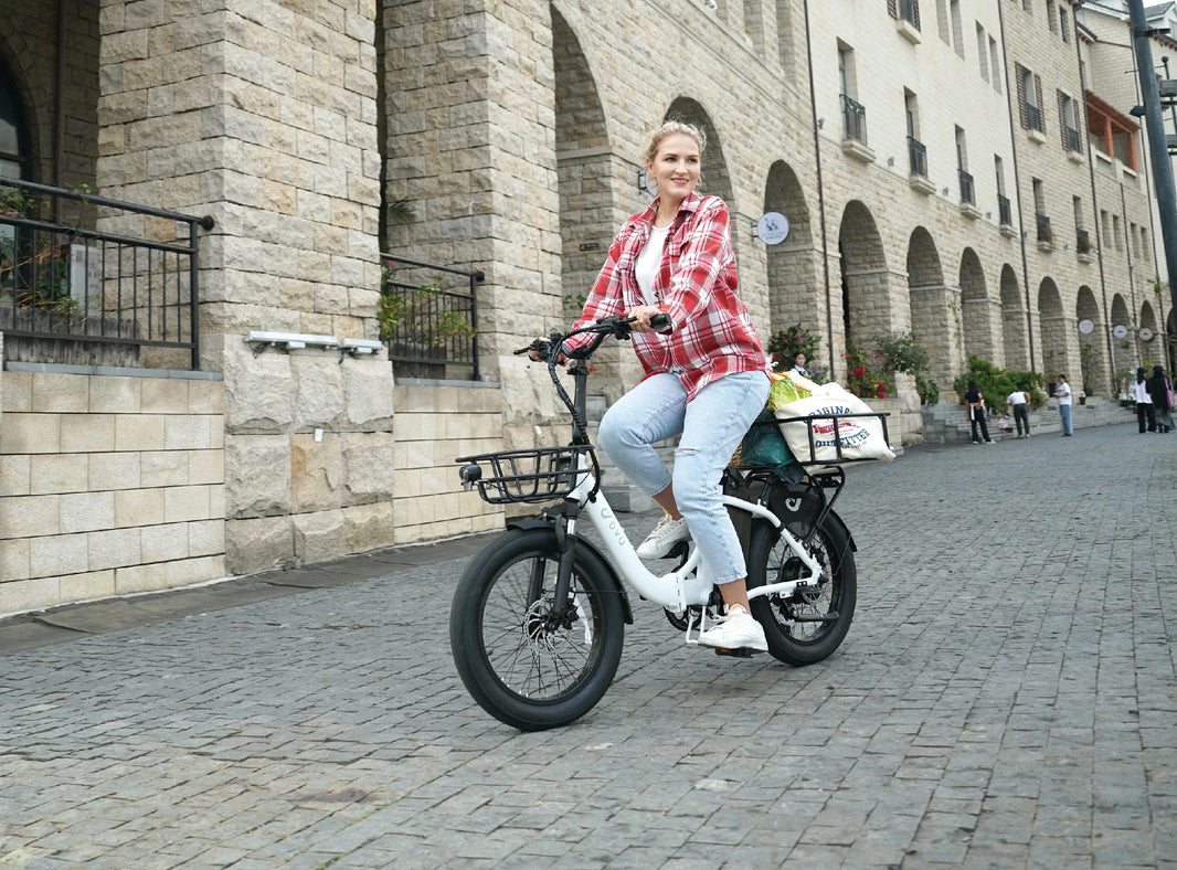DYU C9 long-range folding e-bike grocery guide on cobblestones