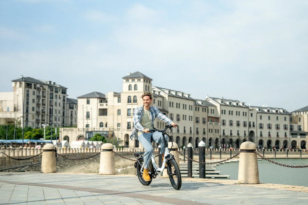 DYU C9 hydraulic disc brake e-bike for EU commuters