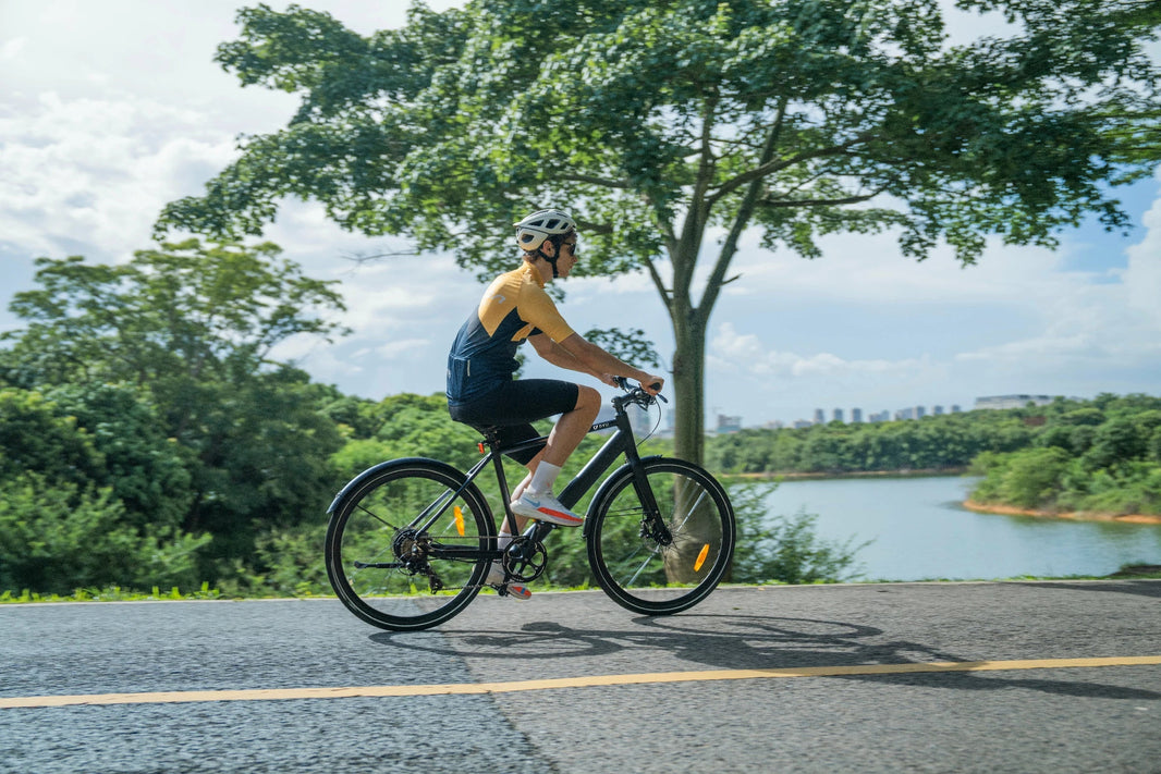DYU Stroll-1 e-bike on a European lakeside day trip route