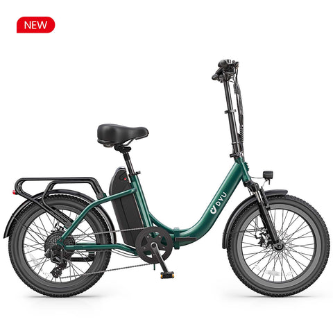 DYU C9 20 Inch Long-Range ebike