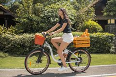 DYU C6 Pro 26 Inch City Electric Bike - Electric Bikes