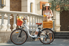 DYU C6 Pro 26 Inch City Electric Bike - Electric Bikes