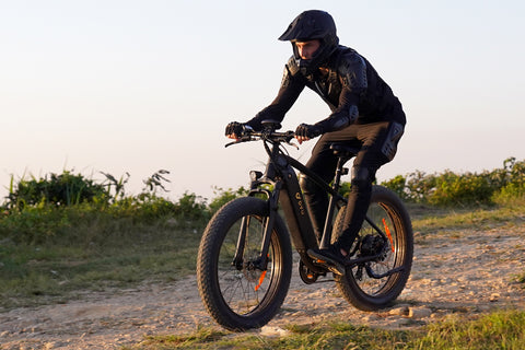 DYU King 750 26 Inch Fat Tire Electric Bike