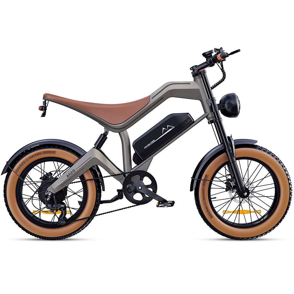 DYU M20 All-Terrain Long-Range Electric Bike