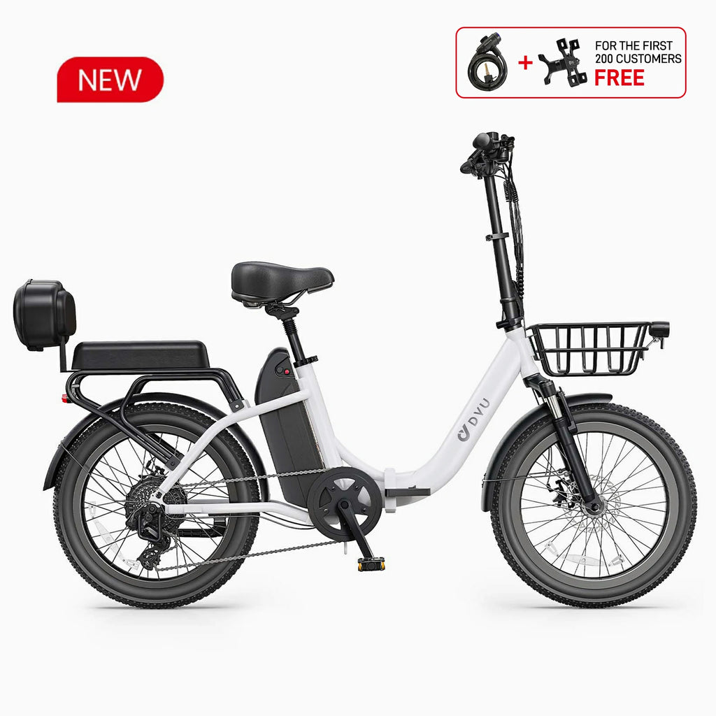 DYU C9 20 Inch Long-Range Ebike