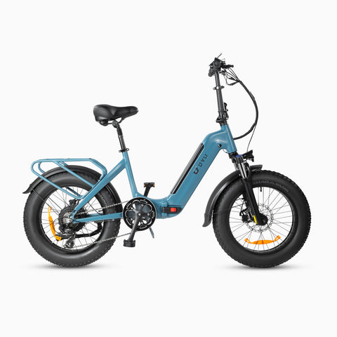 Bici elettrica per pneumatici grassi DYU FF500 da 20 pollici