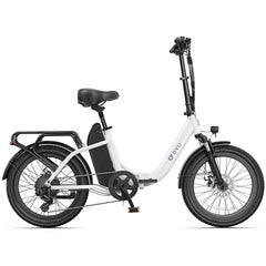 DYU C9 20 Inch Long-Range Ebike