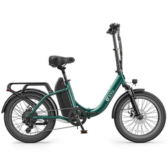 DYU C9 20 Inch Long-Range Ebike