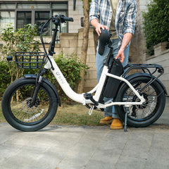 DYU C9 20 Inch Long-Range Ebike