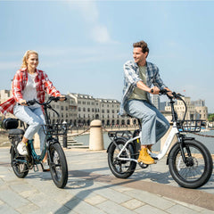 DYU C9 20 Inch Long-Range Ebike