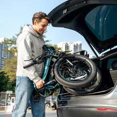 DYU C9 20 Inch Long-Range Ebike