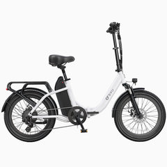 DYU C9 20 Inch Long-Range Ebike