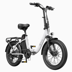 DYU C9 20 Inch Long-Range Ebike