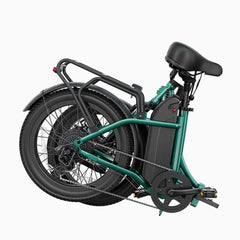 DYU C9 20 Inch Long-Range Ebike