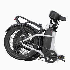 DYU C9 20 Inch Long-Range Ebike