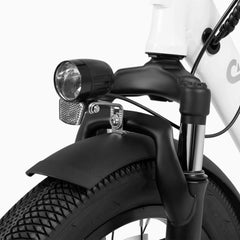 DYU C9 20 Inch Long-Range Ebike