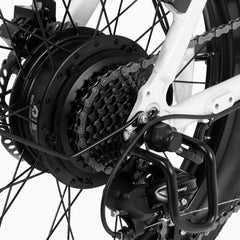 DYU C9 20 Inch Long-Range Ebike