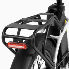DYU C9 20 Inch Long-Range Ebike