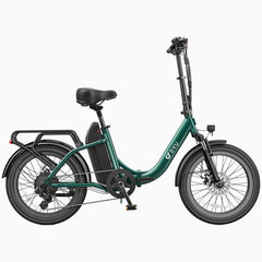 DYU C9 20 Inch Long-Range Ebike