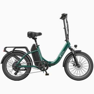 DYU C9 20 Inch Long-Range Ebike