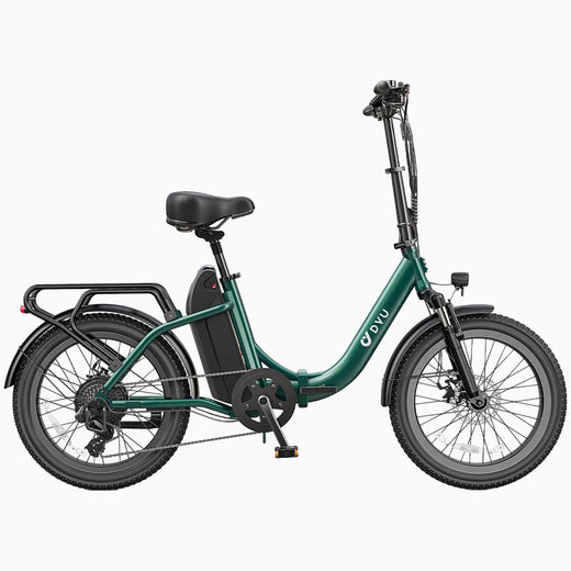 DYU C9 20 Inch Long-Range Ebike