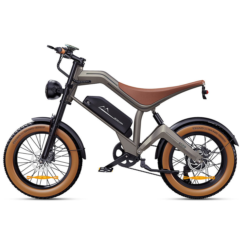 M20 All-Terrain Long-Range Electric Bike