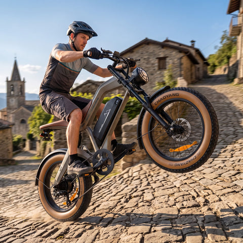 M20 All-Terrain Long-Range Electric Bike