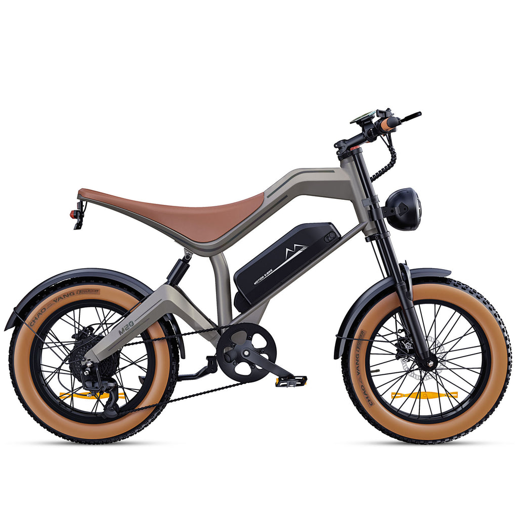M20 All-Terrain Long-Range Electric Bike