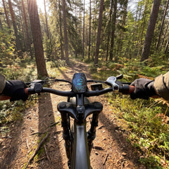 <tc>M20 Bicicleta Elétrica Todo-Terreno de Longo Alcance</tc>