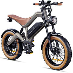 <tc>M20 Bicicleta Elétrica Todo-Terreno de Longo Alcance</tc>