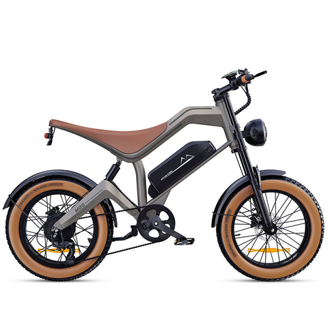 M20 All-Terrain-Elektrofahrrad mit großer Reichweite – DYU