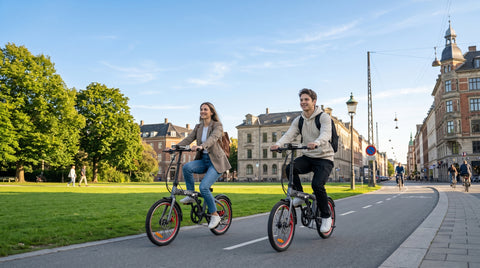 DYU SP1 20 Inch Folding Ebike