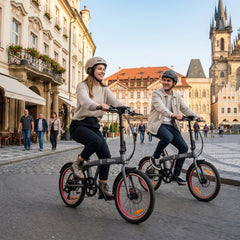 DYU SP1 20" Removable Power Bank Folding Ebike