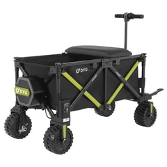<tc>DYU CampX Carrinho Elétrico Dobrável</tc>