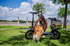 DYU C4 Ebike