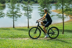 DYU C4 Ebike