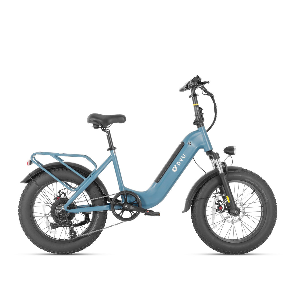 Bici elettrica per pneumatici grassi DYU FF500 da 20 pollici