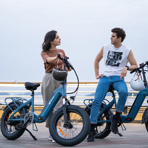 DYU FF500 20 Inch Fat Tire Elcykel