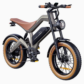 M20 All-Terrain Long-Range Electric Bike