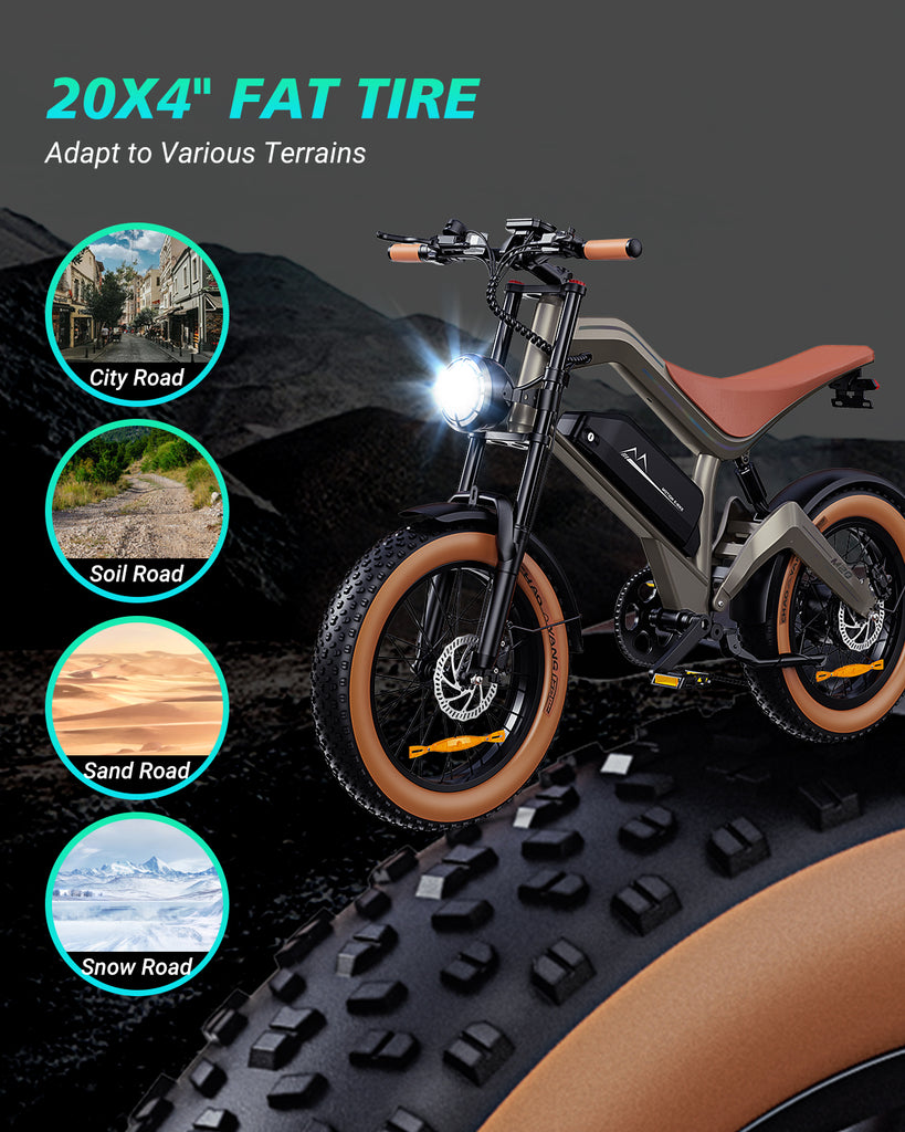 DYU D3F Mini bici elettrica pieghevole da 14 pollici