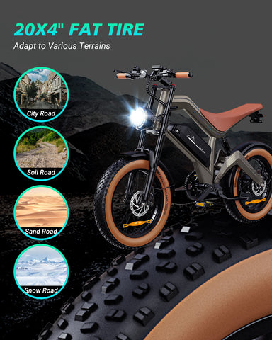 DYU M20 All-Terrain Long-Range Electric Bike