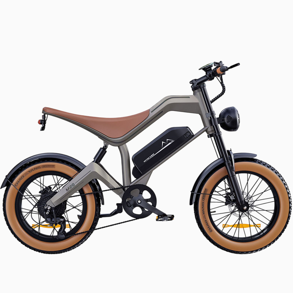 M20 All-Terrain Long-Range Electric Bike