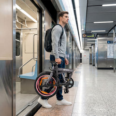 DYU SP1 20" Removable Power Bank Folding Ebike