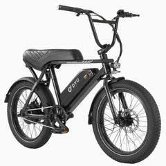 DYU UX BMX 20 Inch Fat Tire Electric Bike